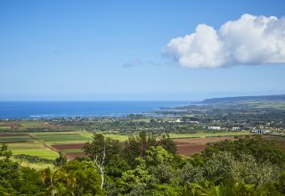 Multi-Family Possibilities on 103+Acre North Shore Estate