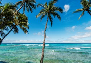 Oceanfront Gold Coast Condo - Walk to Waikiki