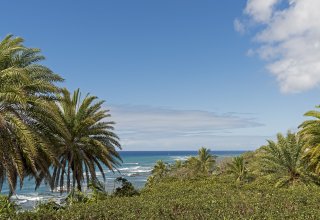 Photo of Ocean View Diamond Head Retreat - 2+Blocks to Beach