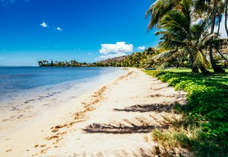 Beachfront Retreat in East Honolulu