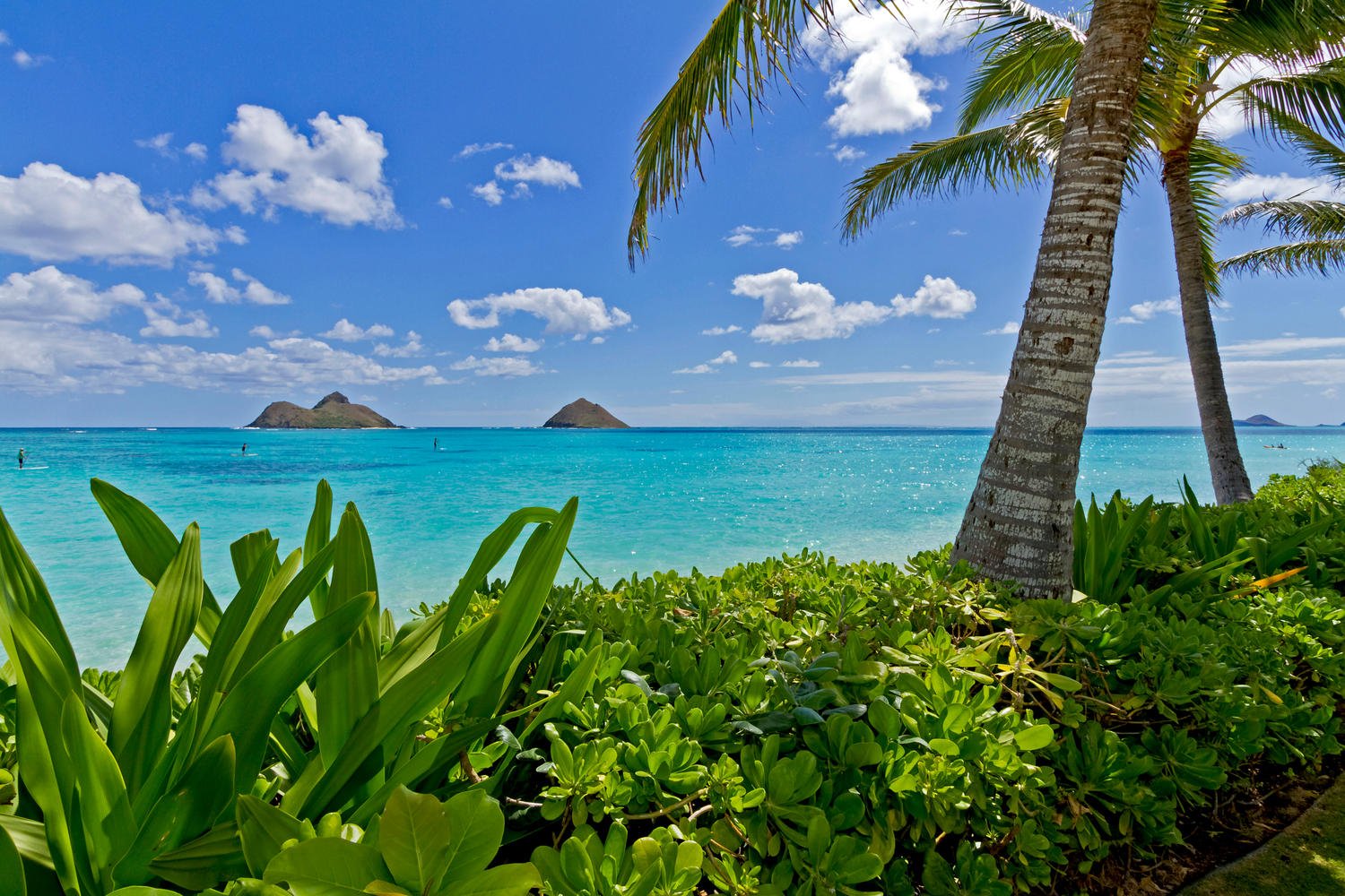 Oceanfront Lanikai Beach House, Kailua 96734 - Single Family for SOLD ...